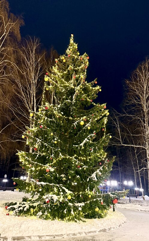 «С Новым 2026 годом! Будьте счастливы и здоровы!!!» - Арина Невская