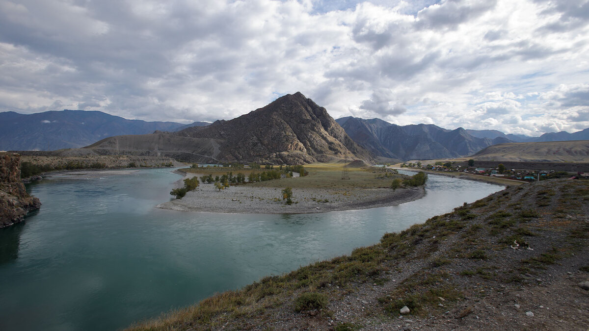 *** - владимир 