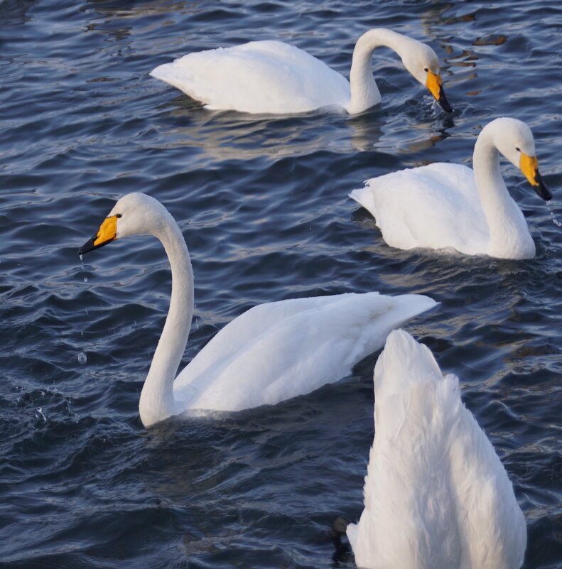 Вверх и вниз - Наталия Григорьева