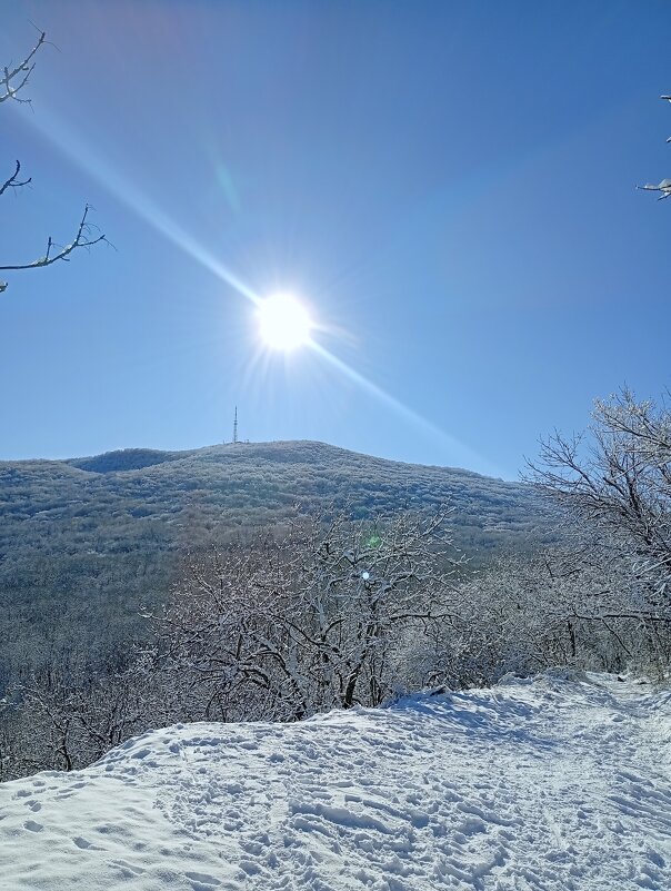 *** - Екатерина Филипенко