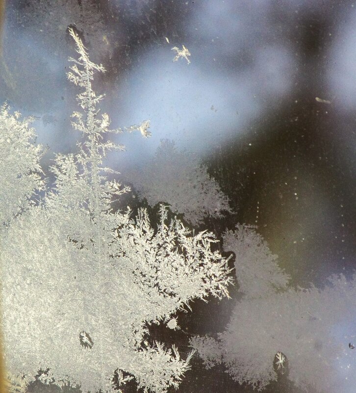 Маленькая ёлочка... - Юрий Куликов