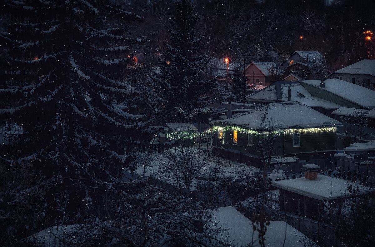 Сочельник - Лилия .