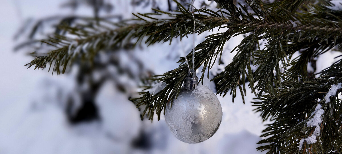 С Новым годом!!! - Радмир Арсеньев