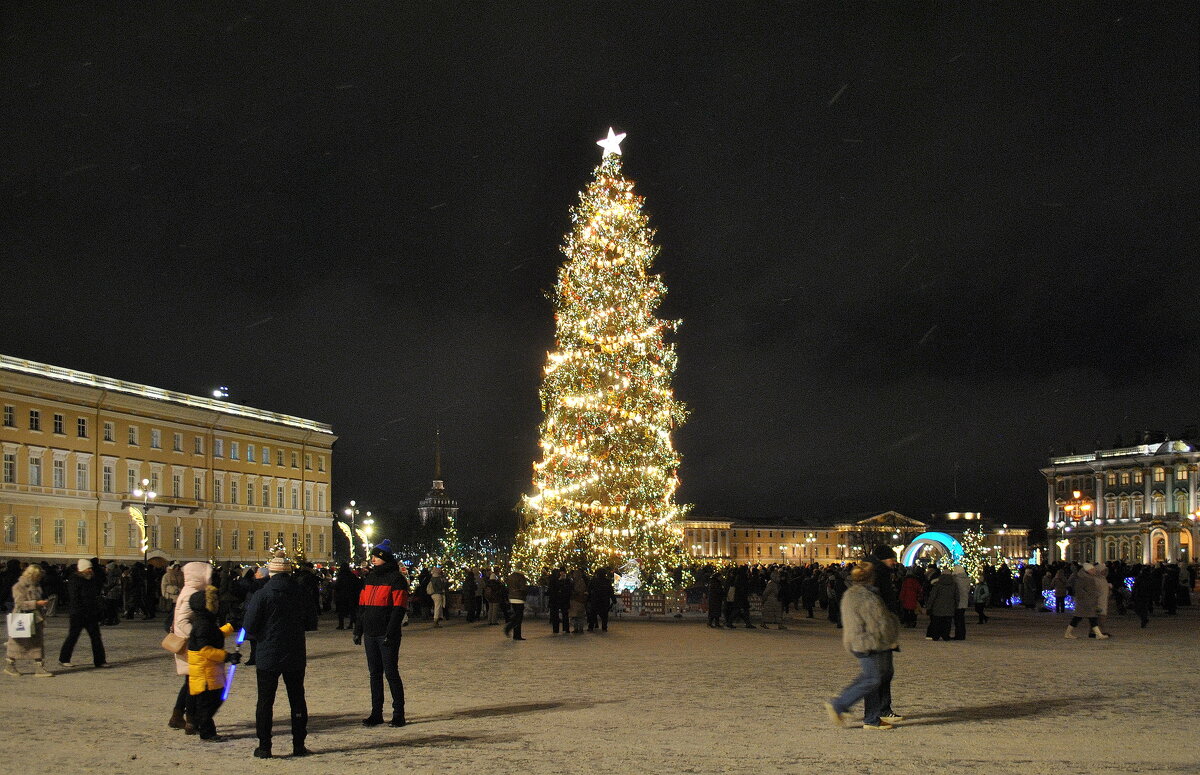 В 1937 году здесь впервые установили официальную городскую новогоднюю ель - AleksSPb Лесниченко