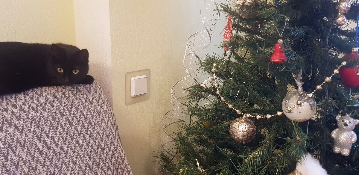 Матильда и ёлка - Galina Solovova Матильда и ёлка - Galina Solovova