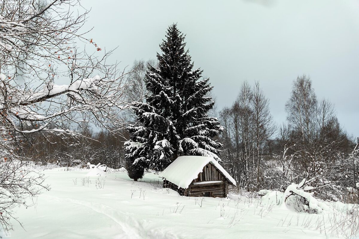 Старая банька - Александр 