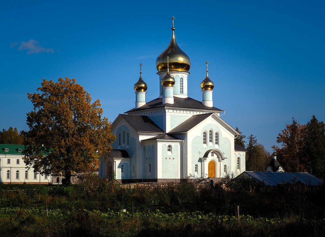 Никандрова Свято-Благовещенская пустынь - Магомед .