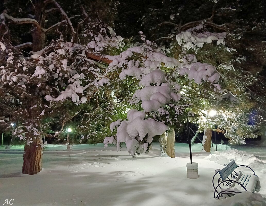 Вечерние зарисовки - Любовь Сахарова