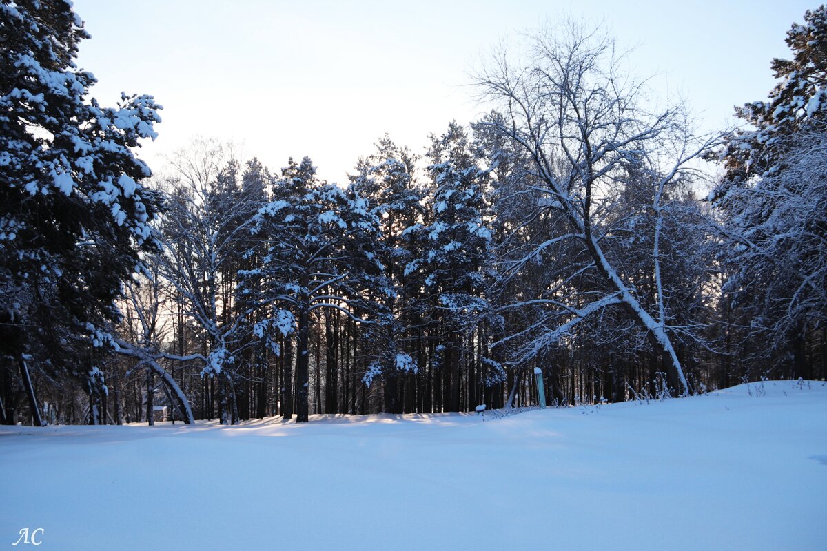 Январское утро - Любовь Сахарова
