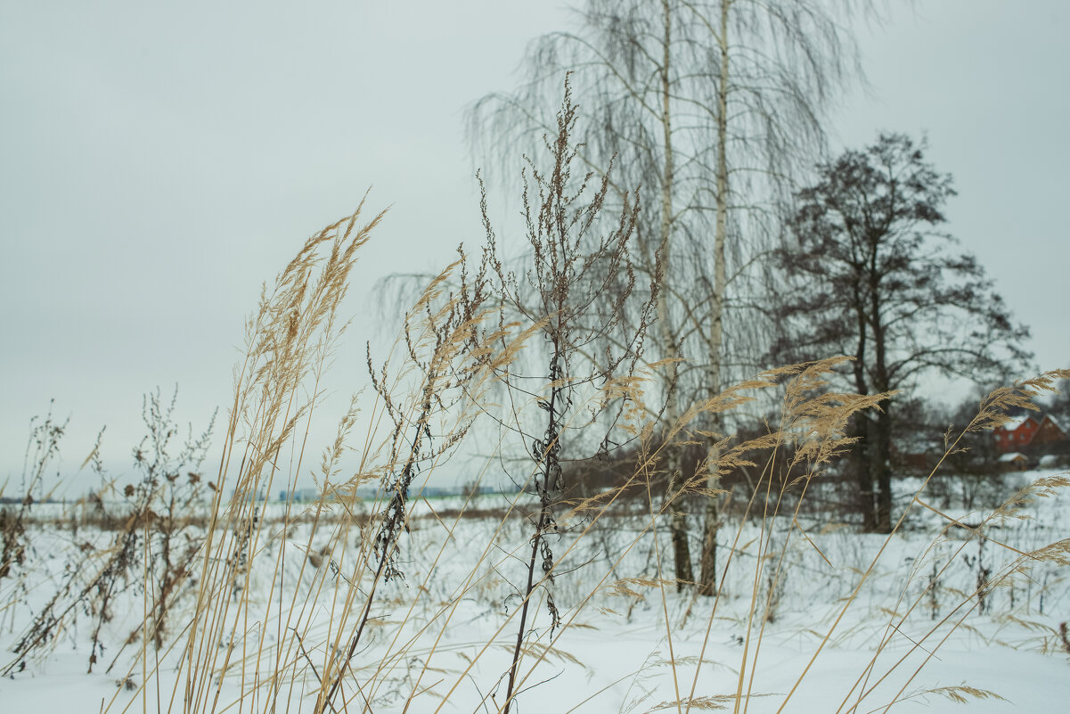 Зарисовочка. - Николай 