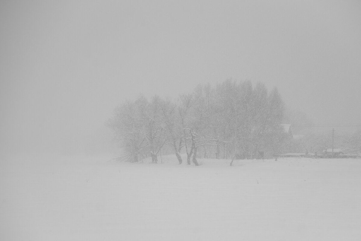 снегопад - Владимир Носов снегопад - Владимир Носов
