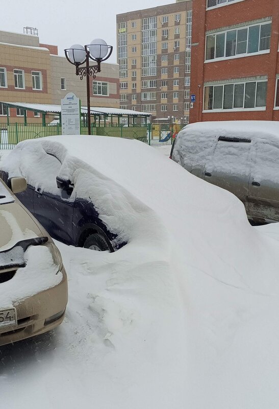 Подснежник - Андрей Макурин