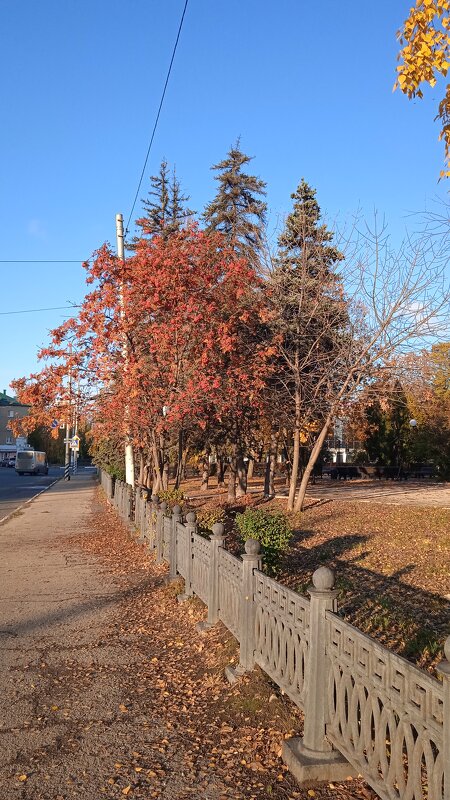 прекрасный октябрь - Елена Шаламова