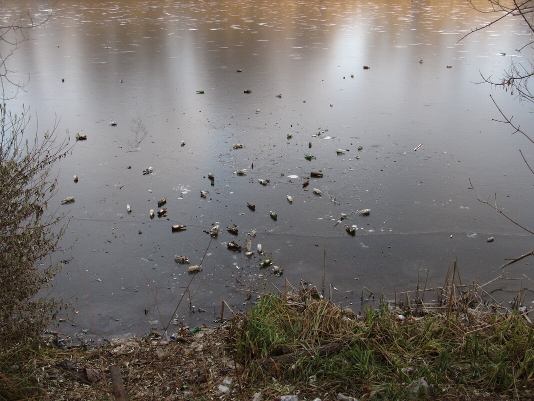 прошлогодний январь - Елена Шаламова