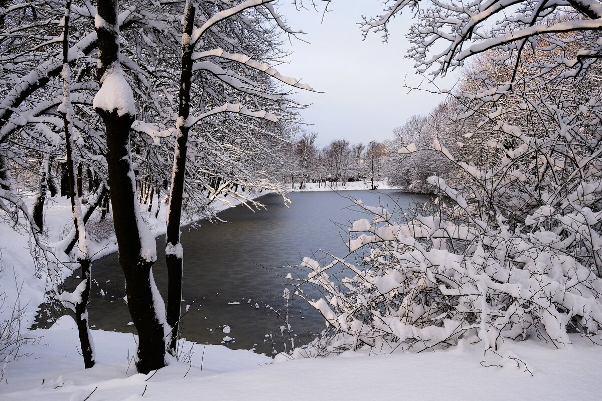 Декабрь Парк Южный, Калининград - Рита Симонова