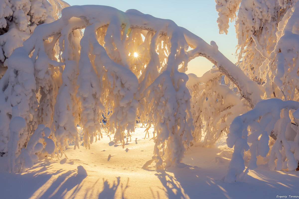 Новое утро Южного Урала - Евгений Тарасов Новое утро Южного Урала - Евгений Тарасов