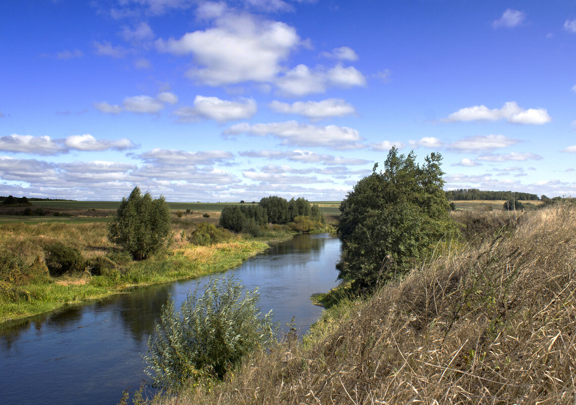 Дон. - Александр. AVG100 ---