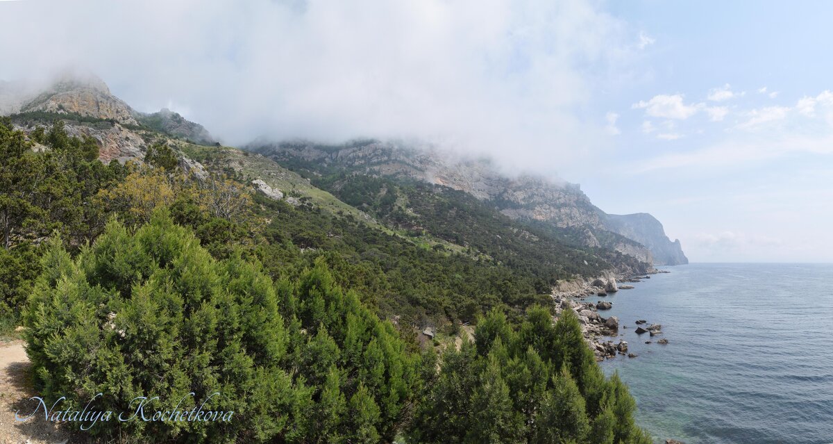 Природа Крыма - Amazing Cosmea