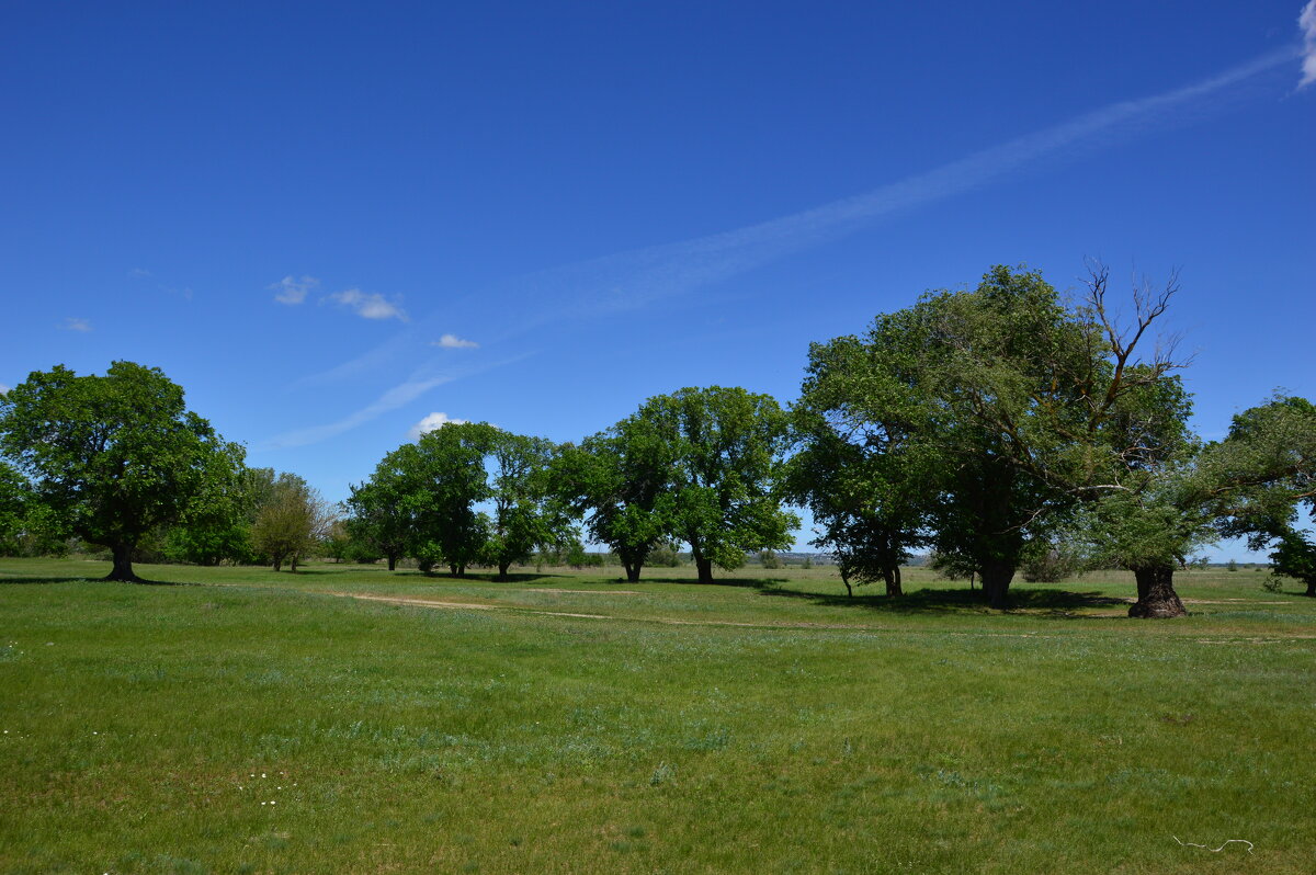 В степи. - Виктор 
