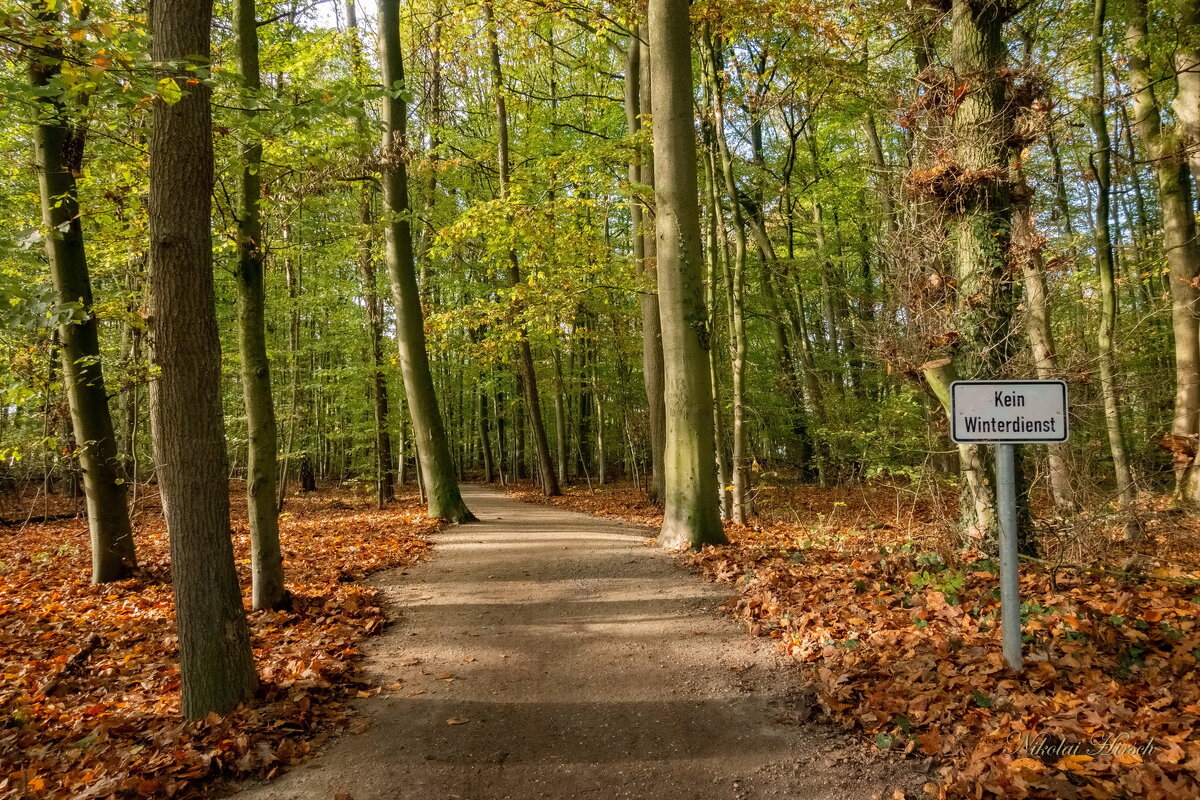 *** - Николай Гирш