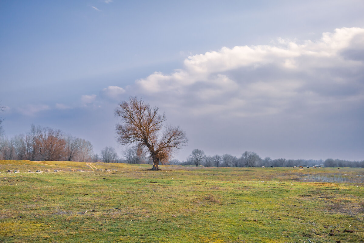 Волго-Ахтубинская пойма - Олег Дорошенко Волго-Ахтубинская пойма - Олег Дорошенко
