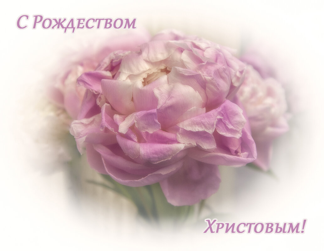 Всех поздравляю с Рождеством Христовым! - Лилия *