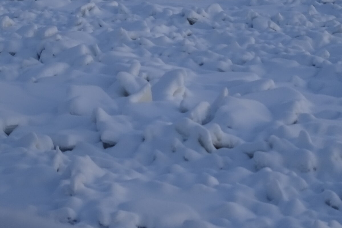 Много льда! - Anna-Sabina Anna-Sabina Много льда! - Anna-Sabina Anna-Sabina