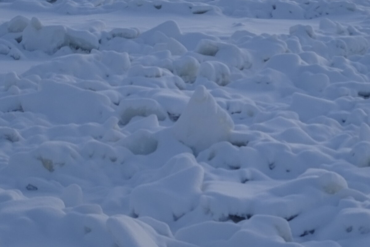 по льду ходить опасно - Anna-Sabina Anna-Sabina