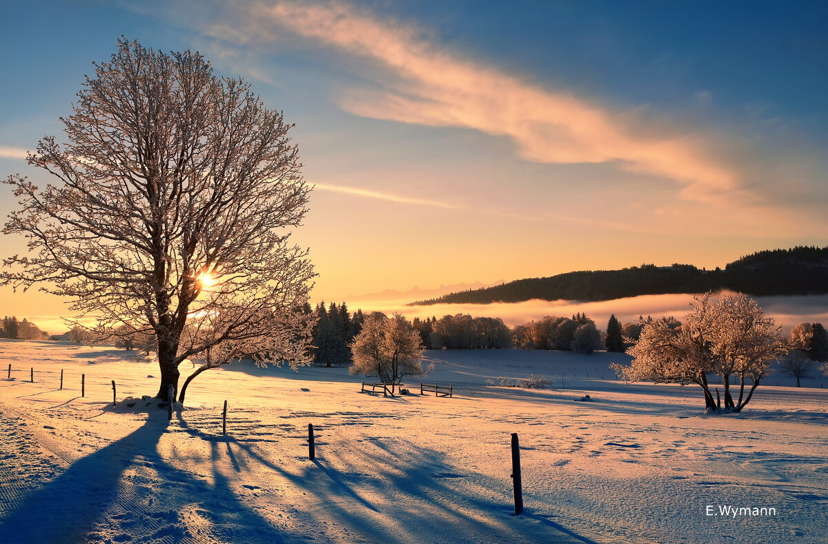 sunrise - Elena Wymann sunrise - Elena Wymann