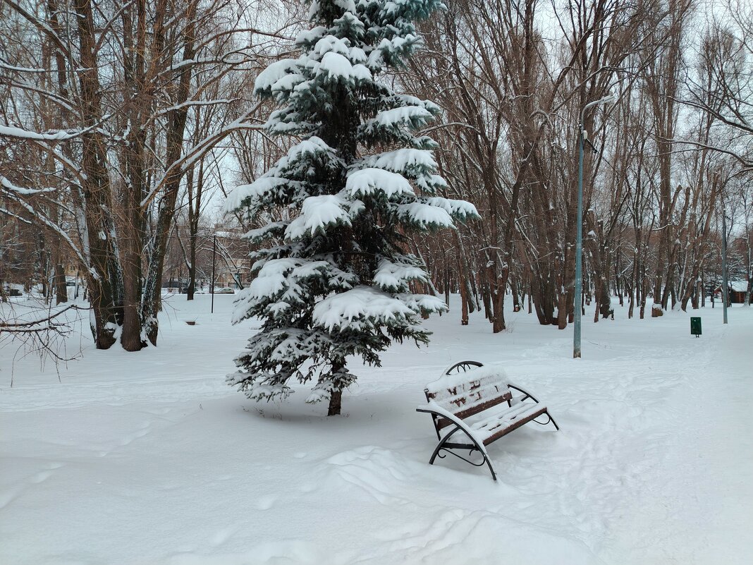 Холодно, холодно елочке зимой - Надежда 