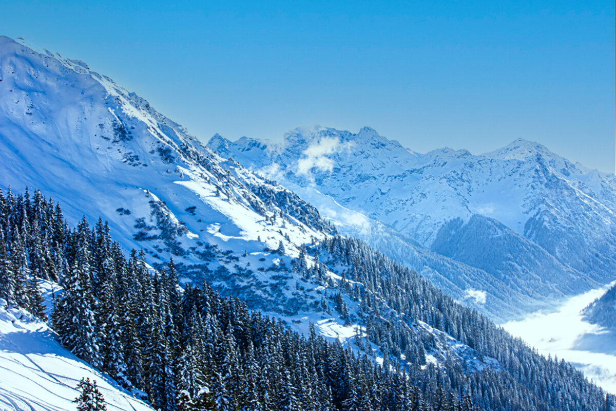 Зимний пейзвж - Lucy Schneider 