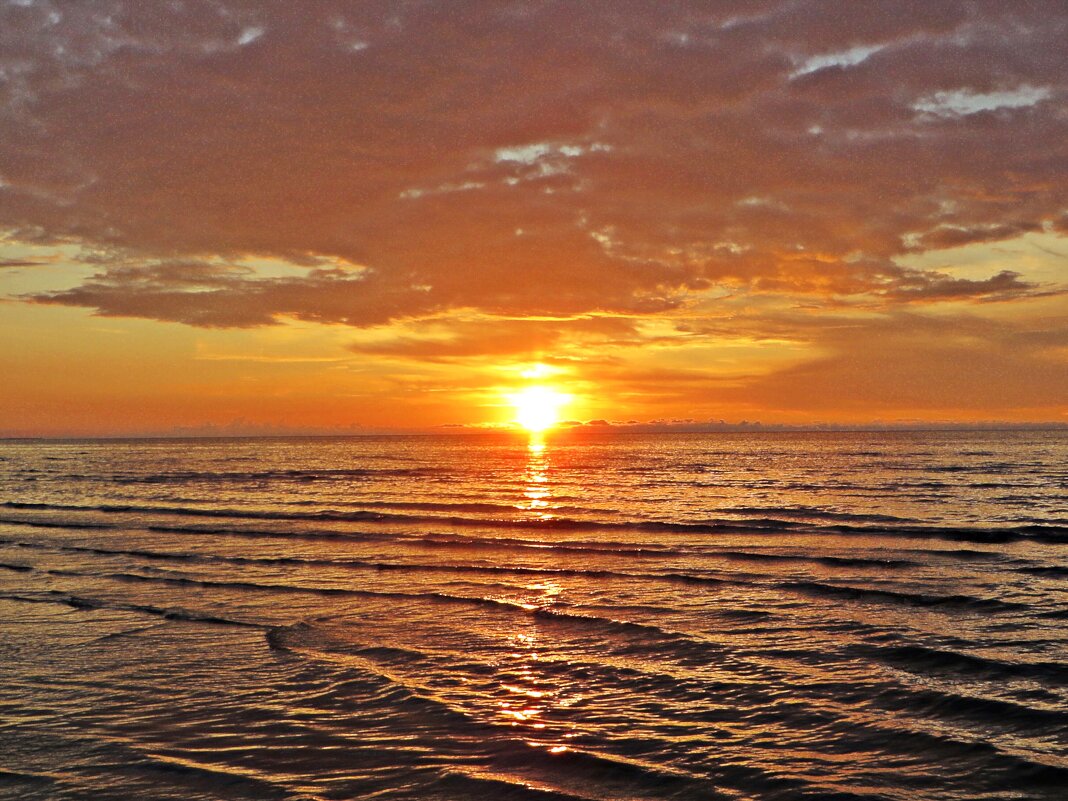 МОРЕ - марта Камушкина МОРЕ - марта Камушкина