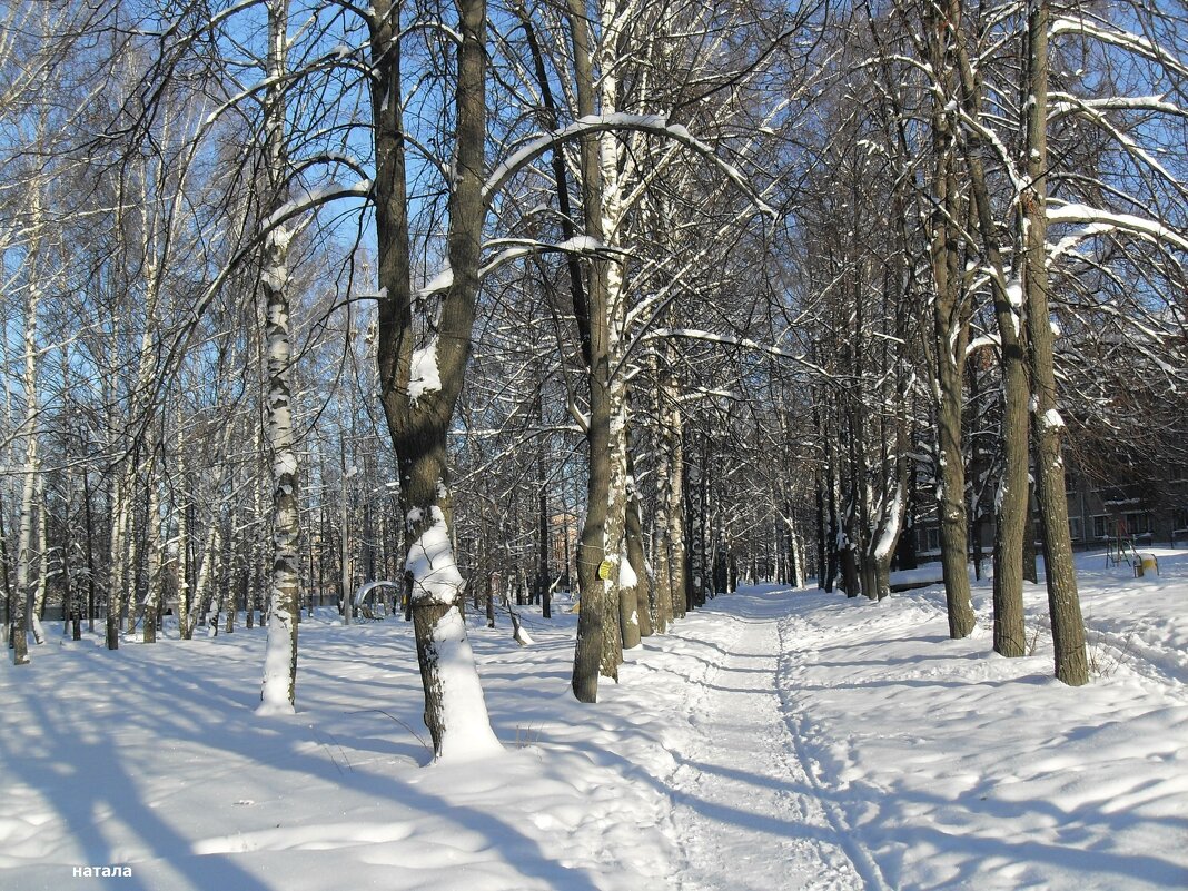 Морозный солнечный день - Наталья ***
