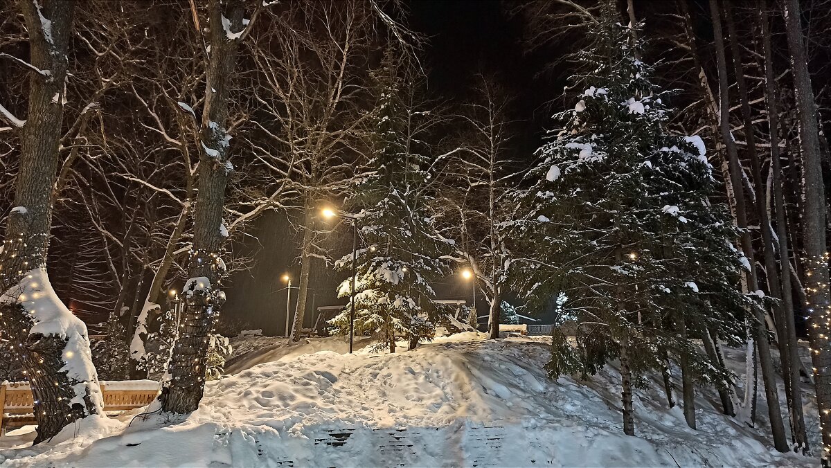 Зима за городом - Татьяна Тюменка Зима за городом - Татьяна Тюменка