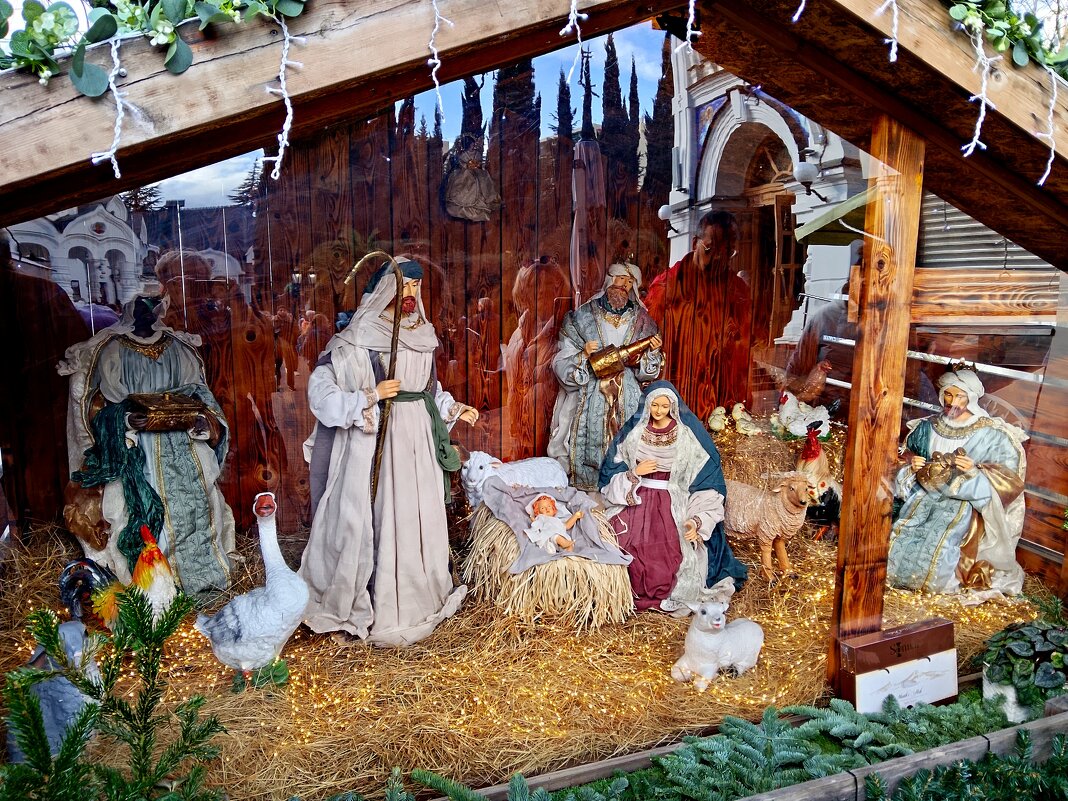 РОЖДЕСТВО 2026 - Tata Wolf