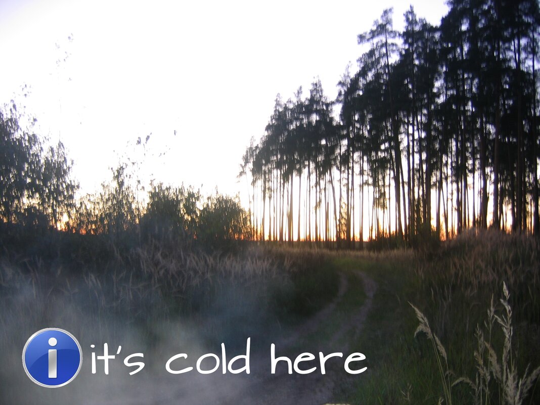 It's cold here - fogmeadowww m