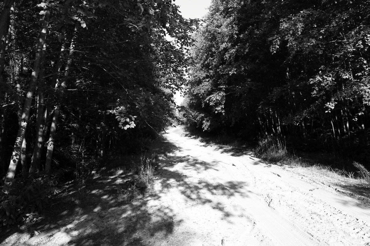 Фотография - Денис Безногов