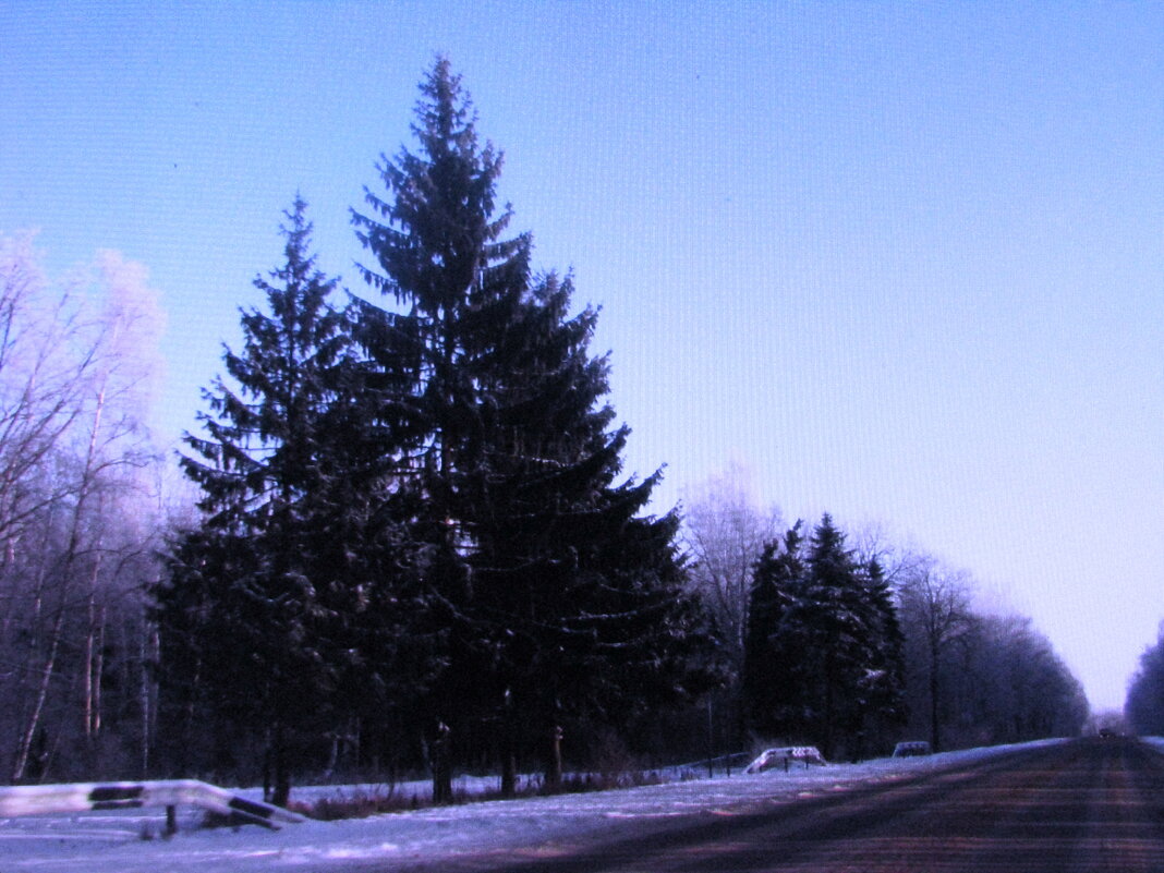 Красота - Людмила Смородинская