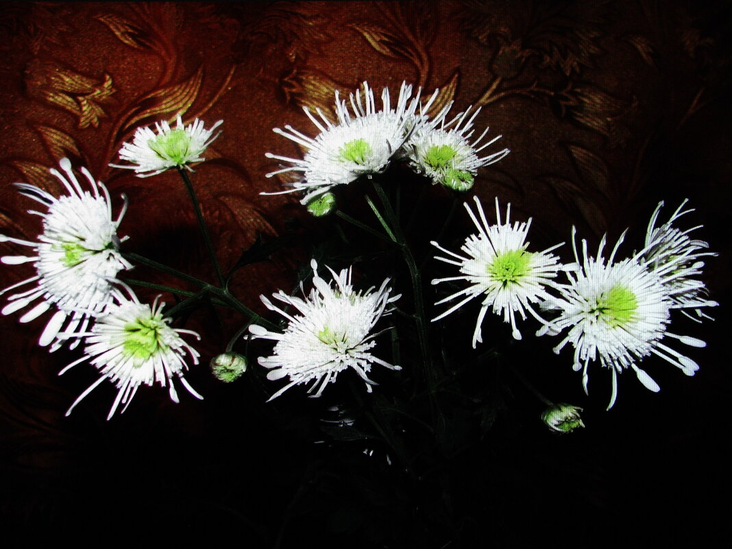 Красота дома - Людмила Смородинская