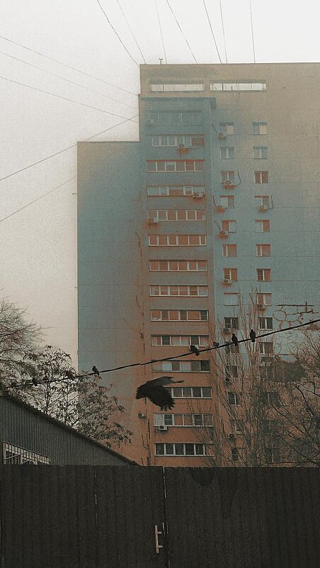 К нам летит ревизор - Николай Семёнов