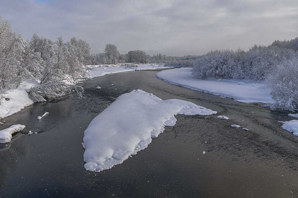 ... - Жора Житников