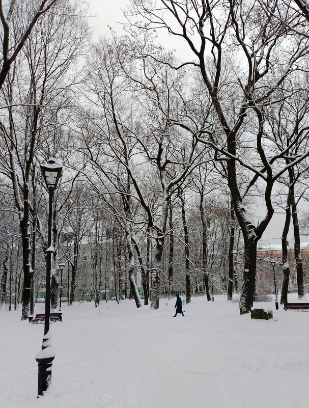 *** - Валентина Береснева