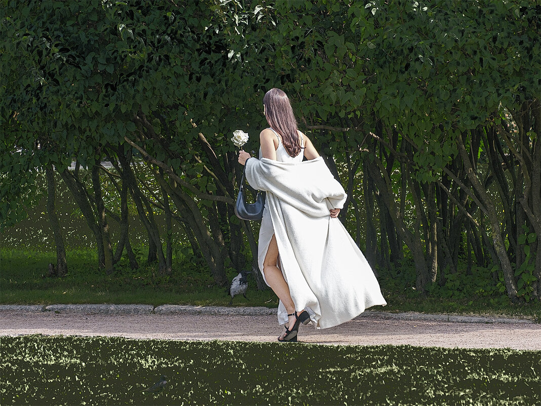 Бег. - Александр 