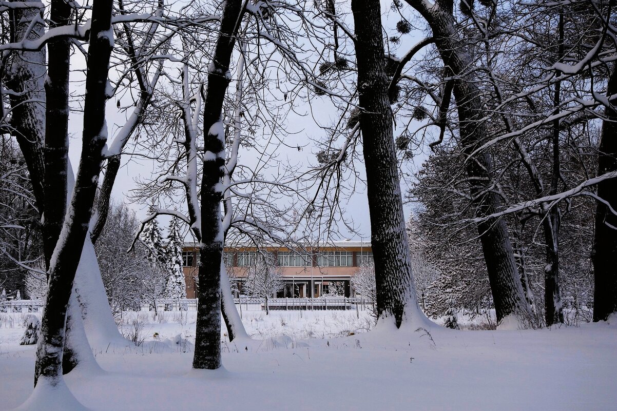 Парк Южный, Калининград - Рита Симонова Парк Южный, Калининград - Рита Симонова