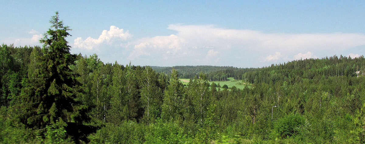 Вблизи деревни Мунккала - Александр Ильчевский 