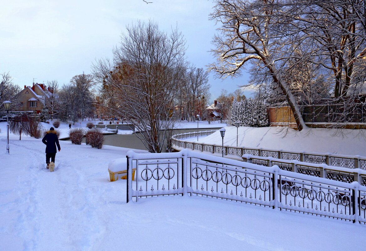 Дядя с собачкой - Сергей Карачин