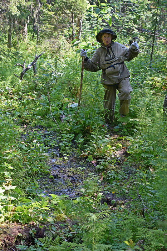 По болотинке. - ВикТор Быстров