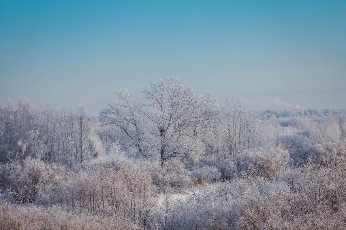 ЗИМНЯЯ СКАЗКА - Сергей Зырянов
