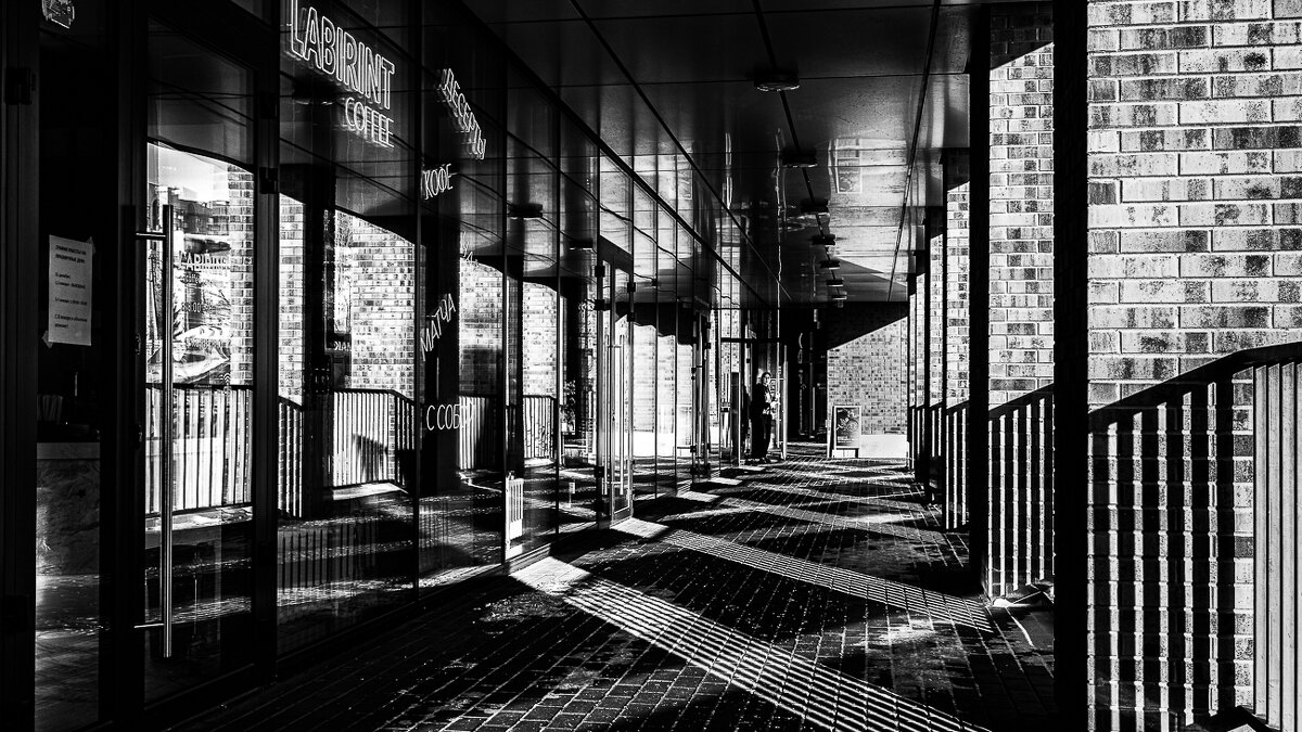 Галлерея - Александр Бродский