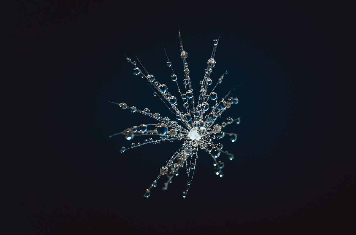 *** - Виктор Иванович Чернюк